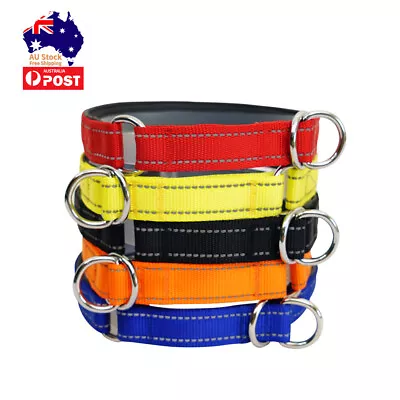 Martingale Dog Collar Pet Training Collar P Chain Adjustable Durable Nylon XS-XL • $11.39