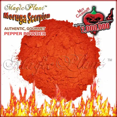 Trinidad Moruga Scorpion Chili Pepper Powder 1kg / 2.2lb - World Hottest 2012!!! • $124.95