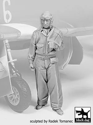 Black Dog 1/32 USAAF Fighter Pilot 1940-1945 WWII #3 Holding Life Jacket F32142 • $23.97