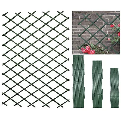 Plastic Wall Trellis Expanding Plant Climbing Vine Garden PVC Fence 200 X 100cm • £8.99