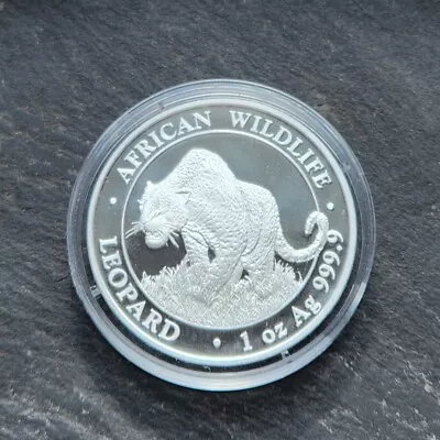 2023 African Wildlife Somalian Leopard 1 Oz .9999 Silver Bullion Coin In Capsule • £31.99