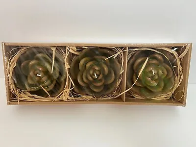 NIB Pottery Barn Succulent Floating Candles Set Of Three Minis • $9.99