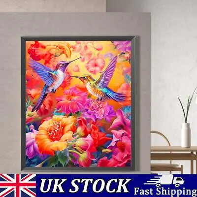 Paint By Numbers Kit On Canvas DIY Oil Art Hummingbird Picture Home Decor50x60cm • £11.29