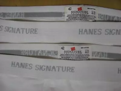 Lot Of 2 Vintage  Hanes Signature Men's White USA Made Briefs 42 Logo Band • $20