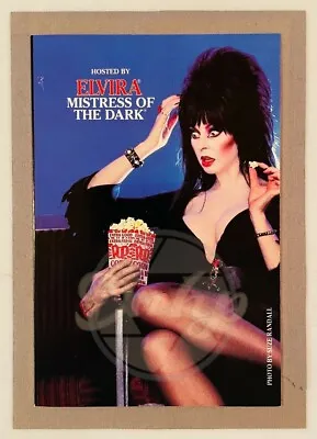 Elvira Mistress Of The Dark Host Framed Ephemera Horror Catalog Vintage USA 01 • $59.99