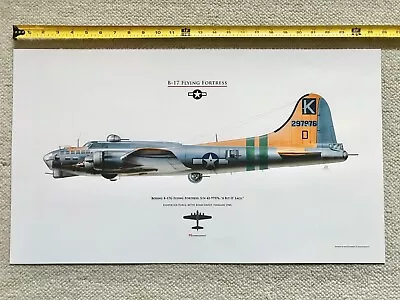 B-17 Flying Fortress. Original Aviation Profile Art Print. New. High Quality. • $85