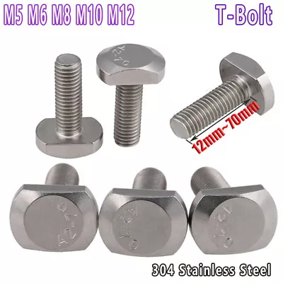 Hammer Head T Bolts Square Head Screw M5 M6 M8 M10 M12 304 Stainless Steel - A2 • $13.99