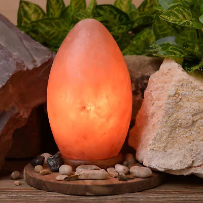 Egg Shaped Himalayan Rock Salt Lamp Air Purifier Wooden Base 20cm • £31.25