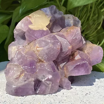 2.28lb Crystal Amethyst Skull Quartz Crystal Sculpture Natural Gem Collection • $0.99