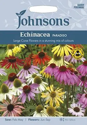 Echinacea Paradiso  20 Fresh Seeds    Echinacea Seeds    Flower Seeds • £2.85