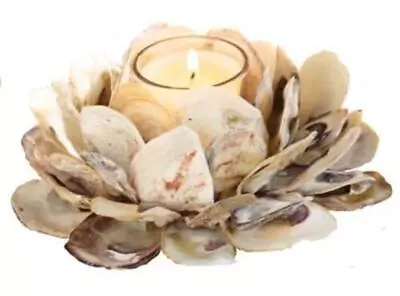 Mud Pie 498B002 Oyster Shell Votive Holder 3 1/4  X 7    • $26.29