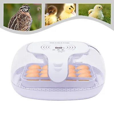 Automatic Digital 16-Egg Incubator Temperature Control Turning Chicken Hatcher • £50.35