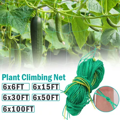 6/50/100FT Trellis Netting Plant Support Net Garden Vine Vegetable Climbing Grow • $12.09