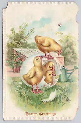 Vtg Post Card Easter Greeting 4 Baby Chicks Hatching Out Of Exaggerated Egg B381 • $4.75