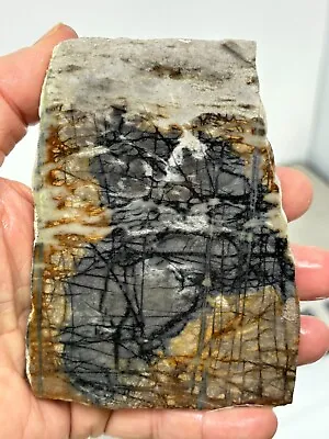 Picasso Marble (Jasper) Slab Cabbing Lapidary Utah Combo Ship Avail • $18