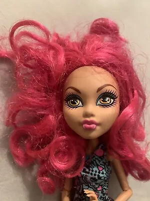 Monster High Howleen Wolf Ghoul Fair - Pink Hair - Clawdeen Sister Doll • $9.31