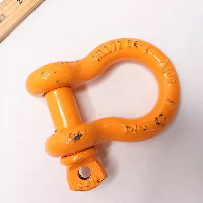 Anchor Shackle Screw Pin Powder Coated Alloy 7 Ton 3/4  3/4 WLL7T • $33.32