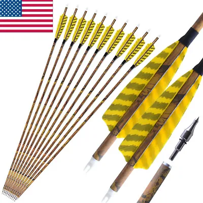 6/12 30  Carbon Arrows SP500 4  Feather Compound Recurve Bow Hunting Target • $28.19