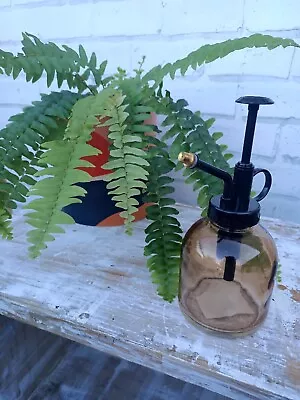 Retro Glass Plant Mister Gardening Watering Can Spray Bottle • $9