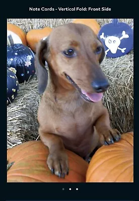 Miniature Dachshund Thanksgiving Card Animal Rescue Scrappy Dizzle Designz • $4.25