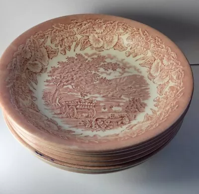 EIT English Ironstone Bowl Cereal Soup Country Scene X6 Pink  • £15