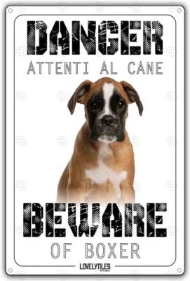 Cartello 'Attenti Al Cane' Australian Sheperd | Targa Metallo 15x20 Cm - Foto 4