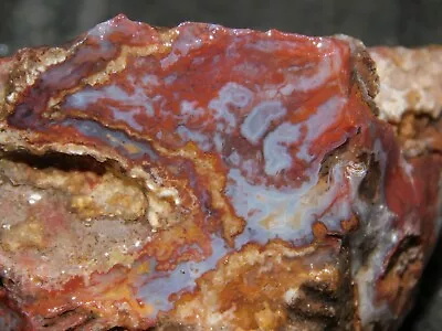 San Carlos Banded Filament Agate Lapidary Cabbing Rough Chunk Mexico 6.25 Oz • $8