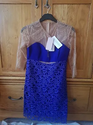 Three Floor Purple Lace Crochet Bodice High Waist Dress Sleeves 10 BNWT • £20