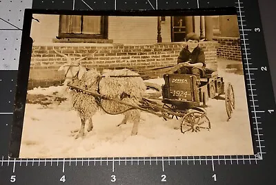 1924 Denver CO Colorado GOAT CART Child Snowing Wagon Boy Vintage PHOTO • $24.95