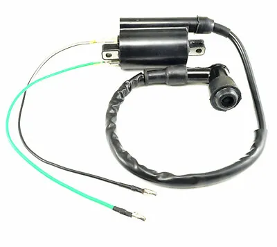 Ignition Coil For Yamaha Motorcycle Virago 250 XV250 1988-2007 • $9.99