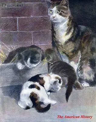 3354 Birkenruth Adolphe (1863-1940) - The Cat 1905 - Out Of The Dog's Way • £13.05