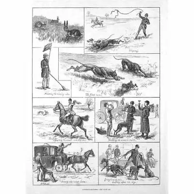 Scenes At A Coursing Match By ST Dadd - Antique Print 1882 • £13.99