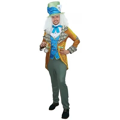 Classic Mad Hatter Costume Halloween Fancy Dress • $99.95