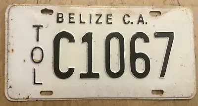 Belize Toltec District Central America Auto License Plate   C 1067   • $39.99