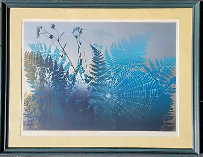 Elton Bennett Mid-century Signed Serigraph Web Professionally Framed  • $800