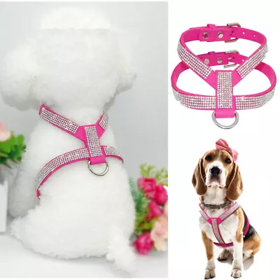 XXS/XS Teacup Chihuahua Dog Harness Small Soft Vest Leather For Maltese Shih Tzu • $9.49