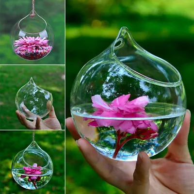 6-36x Hanging Clear Glass Globe Ball Candle Tea Light Holder Air Plant Terrarium • £8.95