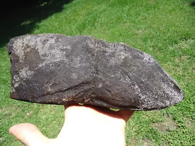 $5.50 • Buy Huge Section Giant Tortoise Shell Florida Fossils Ice Age Extinct Turtle Bones @