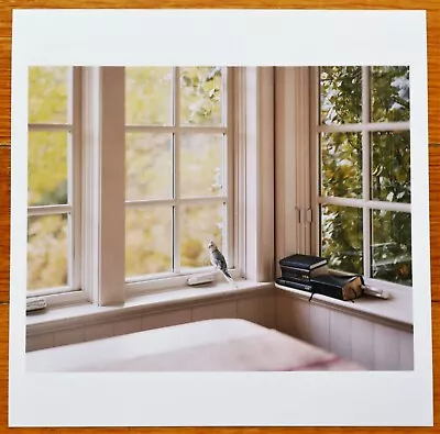 $440 • Buy SIGNED - ALEC SOTH - CAMMY'S VIEW 2018 KNOW FURIOUSLY HEART 6  X 6  MAGNUM PRINT