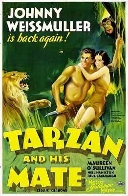 TARZAN AND HIS MATE 1934 Johnny Weissmuller B&w Movie On DVD • $7.99