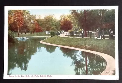 Belle Isle Park Swans In The Zoo Scenic View Detroit Michigan MI Postcard C1910s • $7.99