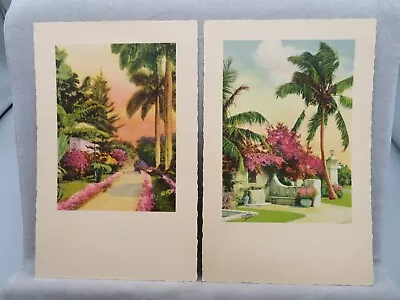 Set Of 2 Vintage E. G. Barnhill Lithograph Prints Palm & Flowering Trees • $8