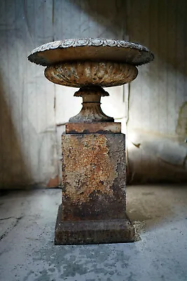 Good Antique Victorian Cast Iron Tazza Garden Urn & Stand C.1860-70 • $2051.53