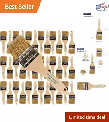 2 Inch Chip Paint Brushes - 36 Pack - Solid Wood Handles - Natural Bristles • $33.22