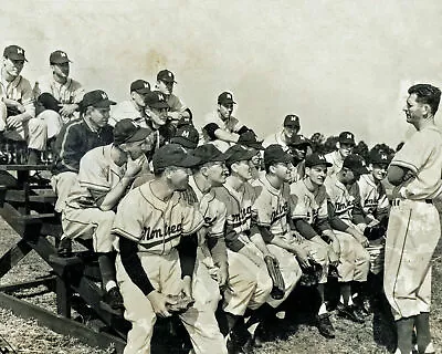 1954 Montreal Royals 8x10 Team Photo  Il Baseball Roberto Clemente • $4.99