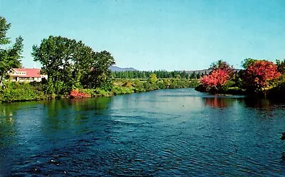 Postcard Moose River Jackman Maine • $5.09