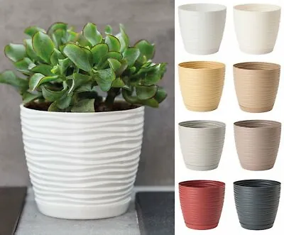 £7.99 • Buy Plant Pot Cover Round 3D Indoor Outdoor Succulent Plastic Drainage Holes Saucer