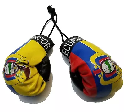 Ecuador Ecuadorian Boxing Glove Mini Banner Flag Car Rearview Mirror Map County • $11.58