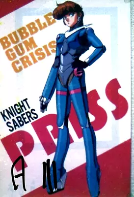 11 BUBBLE GUM CRISIS PRISS Japanese Anime Vinyl Model Kit 1/6 • $21.95