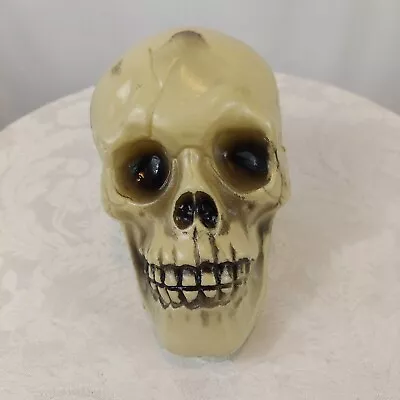 Small Soft Plastic Realistic Human Skull Skeleton Head Halloween Decoration 5  • $9.99